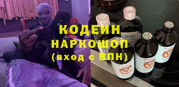 молекула духа Новозыбков